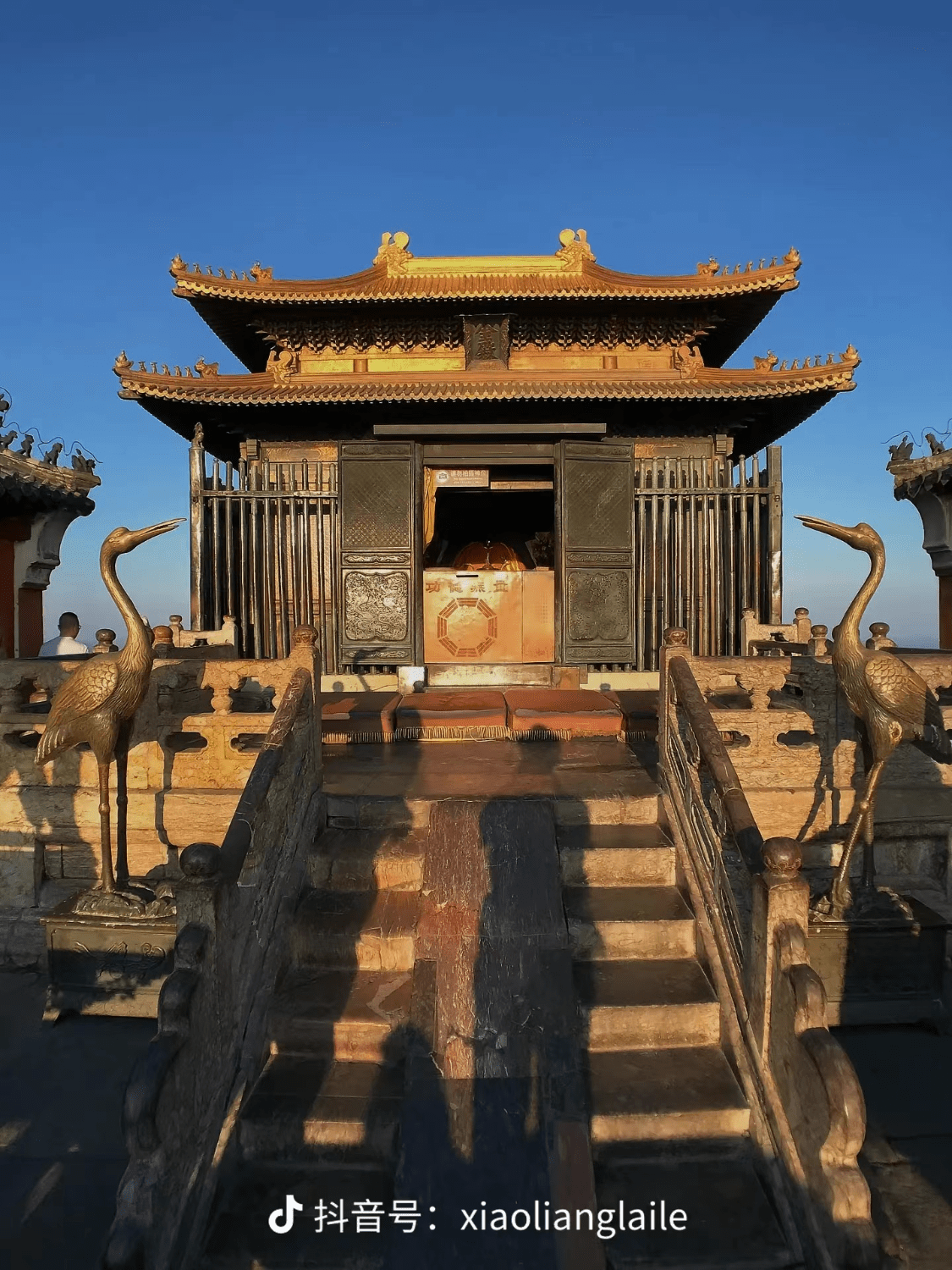 17是盗笔的长白山十年之约,因为那时候很多稻米都还比较小或者没接触