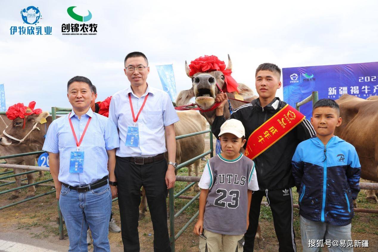 新疆褐牛产业大会完美落幕-新疆褐牛怎么养