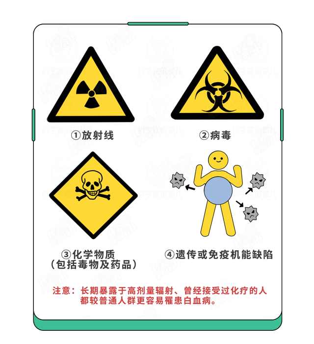 10岁白血病小女孩离世前嫁给男友 白血病早期有哪些症状