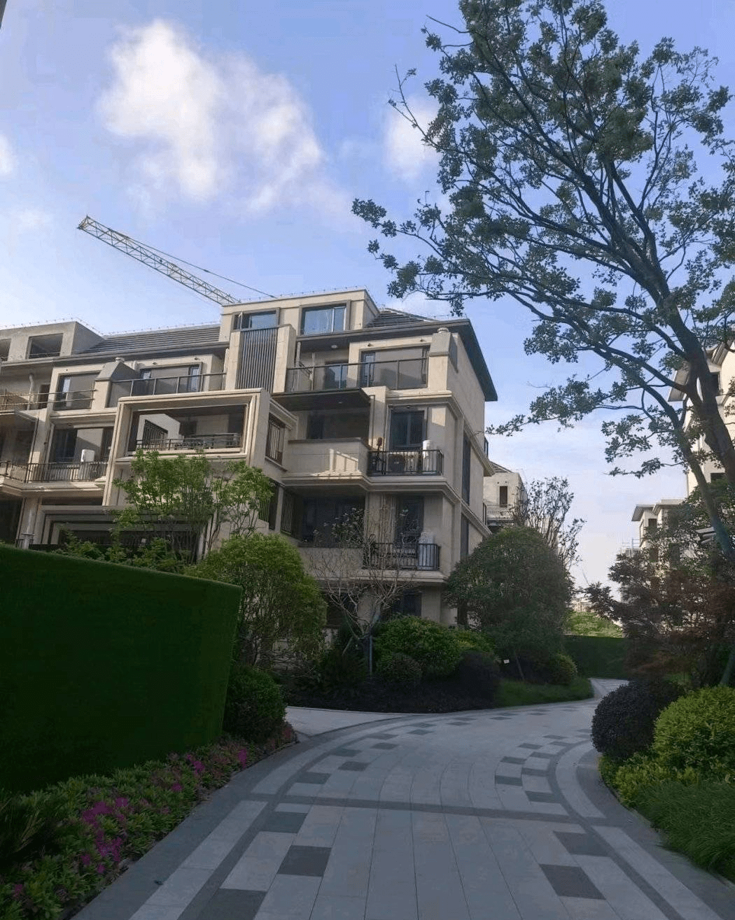 2023·上海 长兴金茂逸墅>售楼处电话电话【售楼中心】欢迎您-24小时