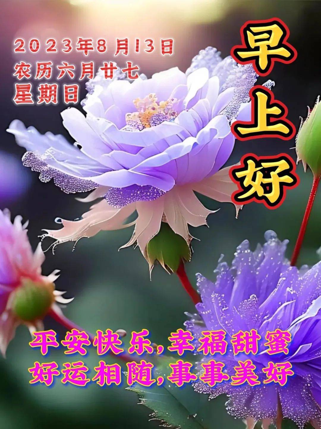 8月13日周日早上好