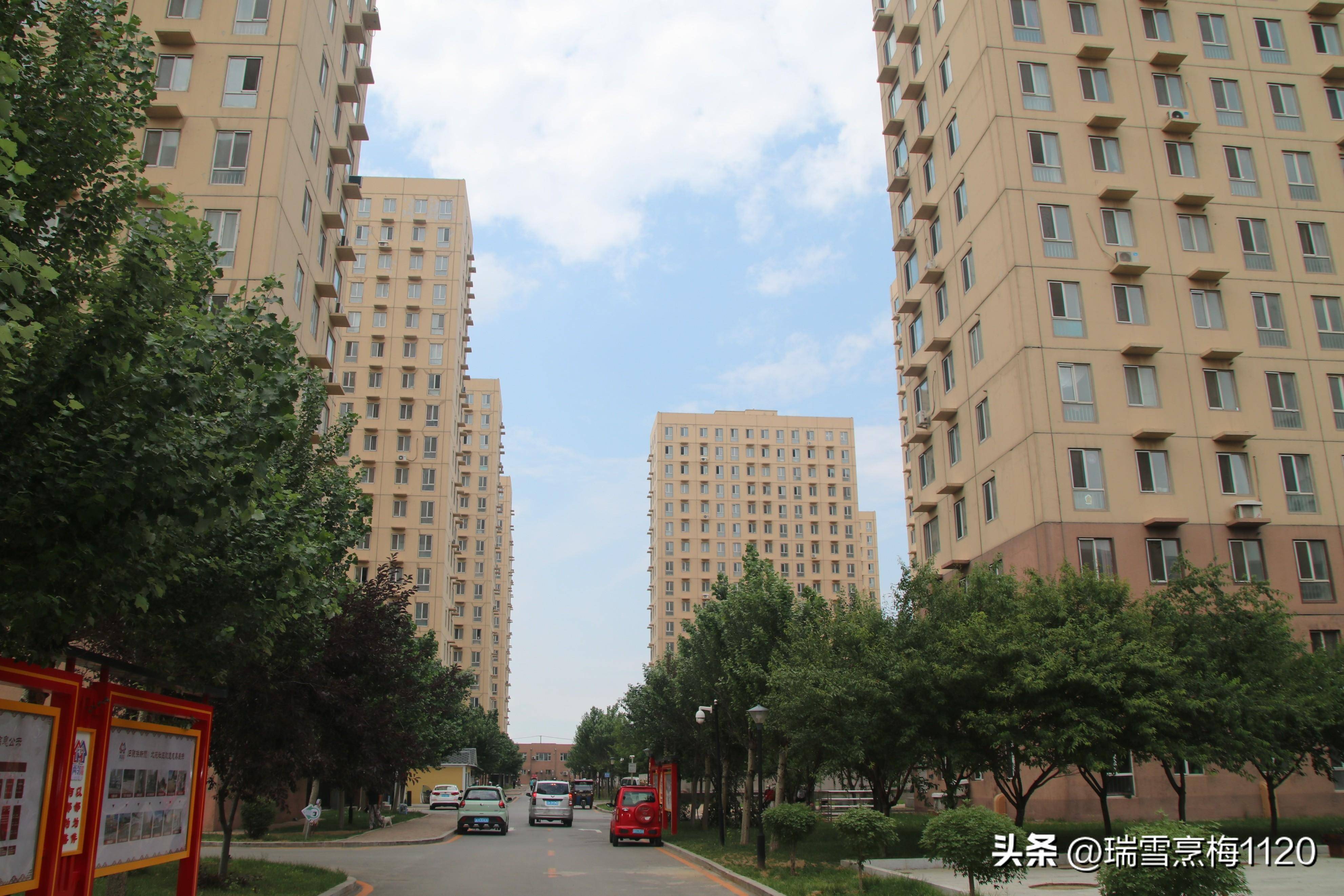 寻美沈北 | 道义街道北苑社区:用爱谱写"两邻"工作新篇章_养老_服务