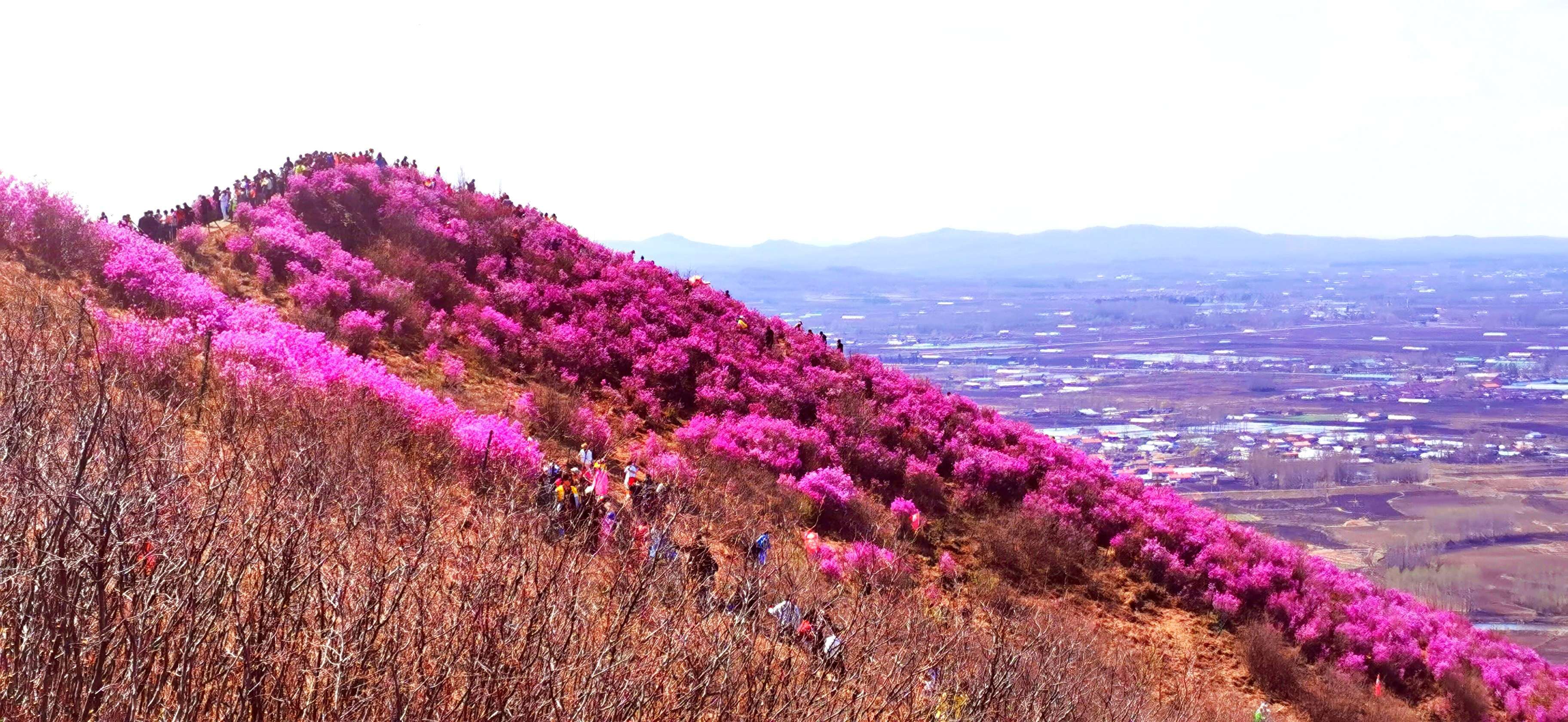 铁力桃山旅游景点图片