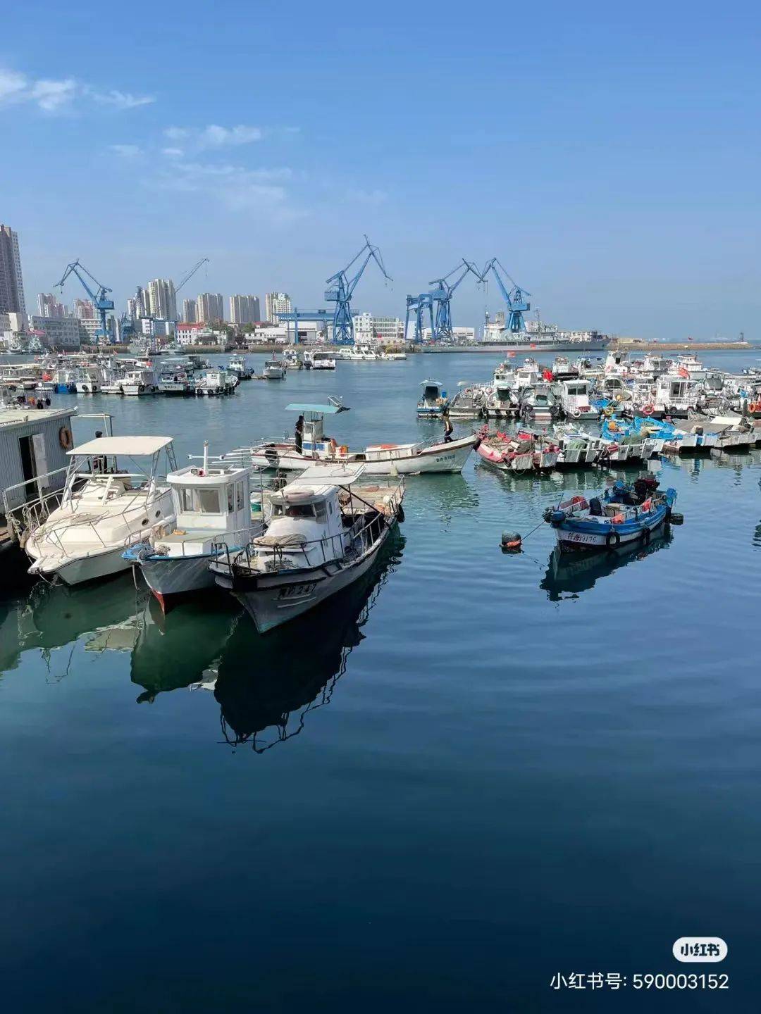 渔港码头or影视基地……市南小港,才不止你想的那样!_图片_来源_青岛