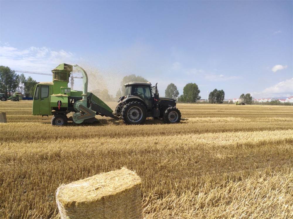 新疆马金虎:3年连购3台!顺邦打捆机真是我创富路上的好帮手!