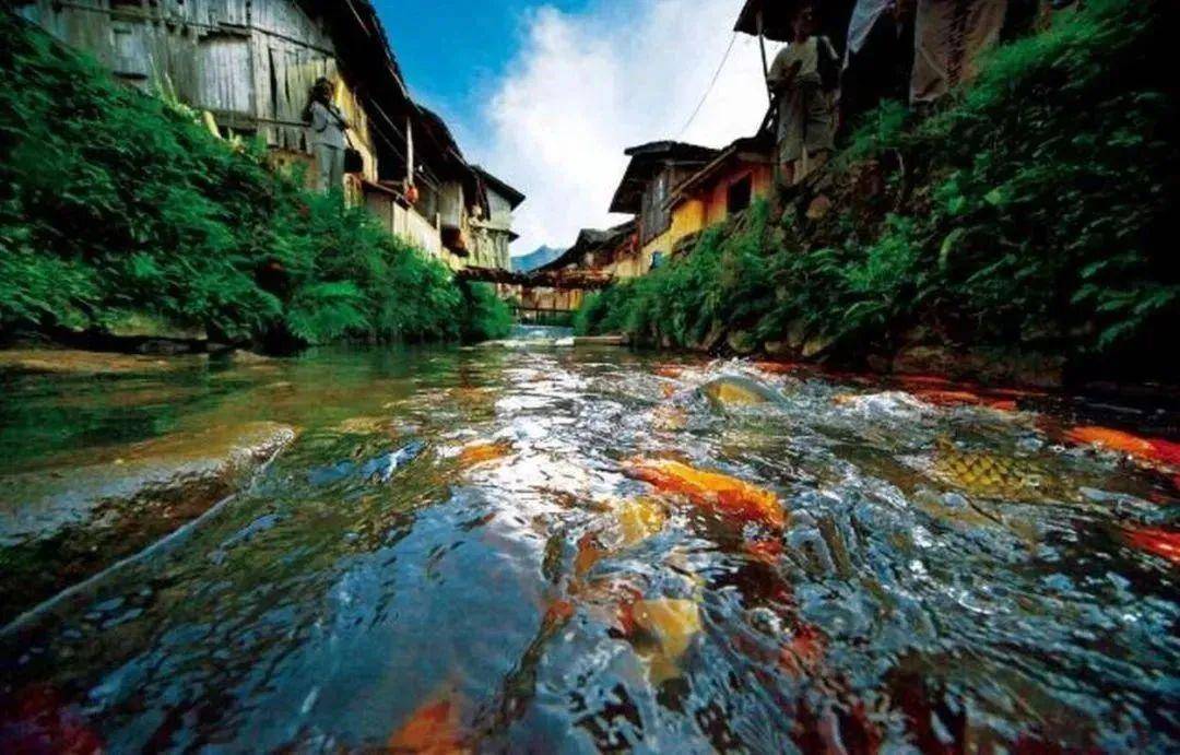 踏祥云而来,寻锦鲤——中国·福建·周宁赛事信息_选手_比赛_头盔