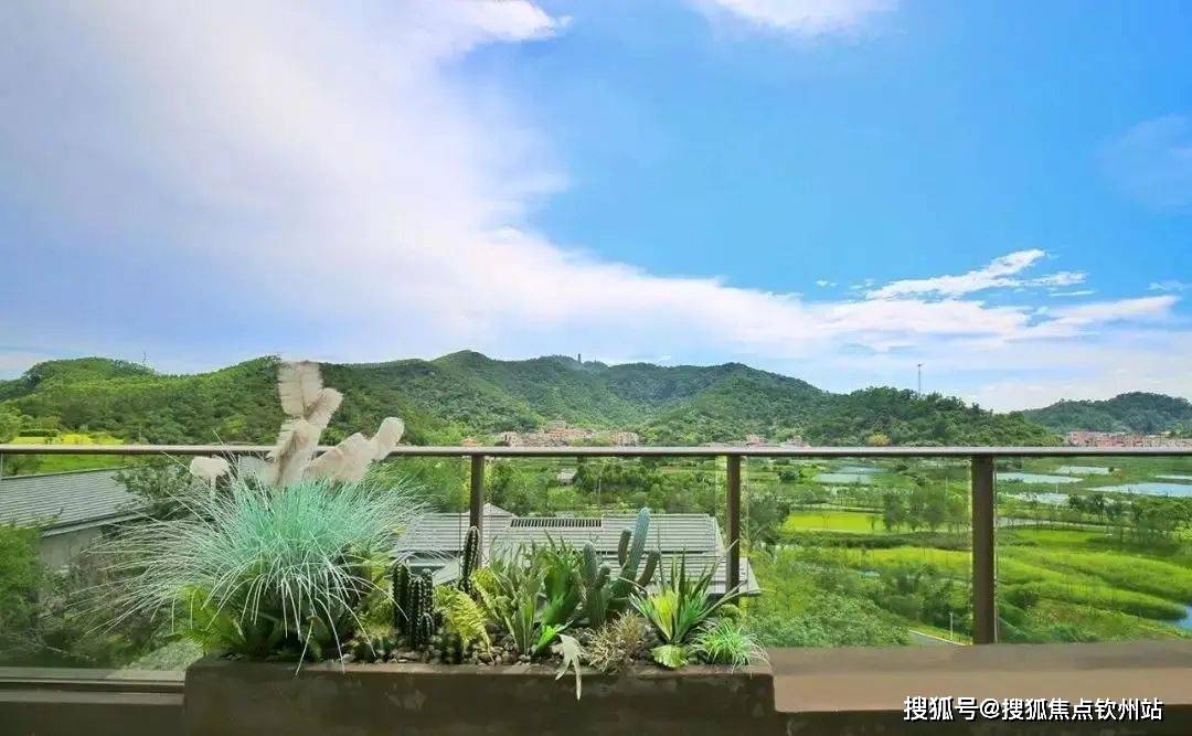 保利云上西棠(保利云上售楼处)首页网站|江门保利云上售楼处欢迎您|楼盘详情_田园_度假_项目