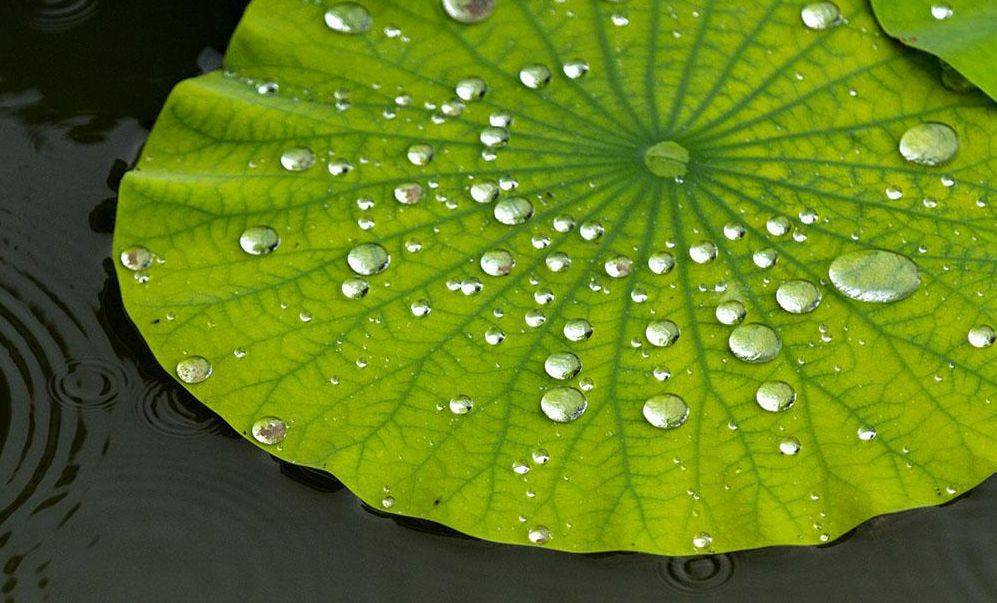 疏水自清洁涂料纳米防水涂层无色透明,金属漆面玻璃塑料大理石木材