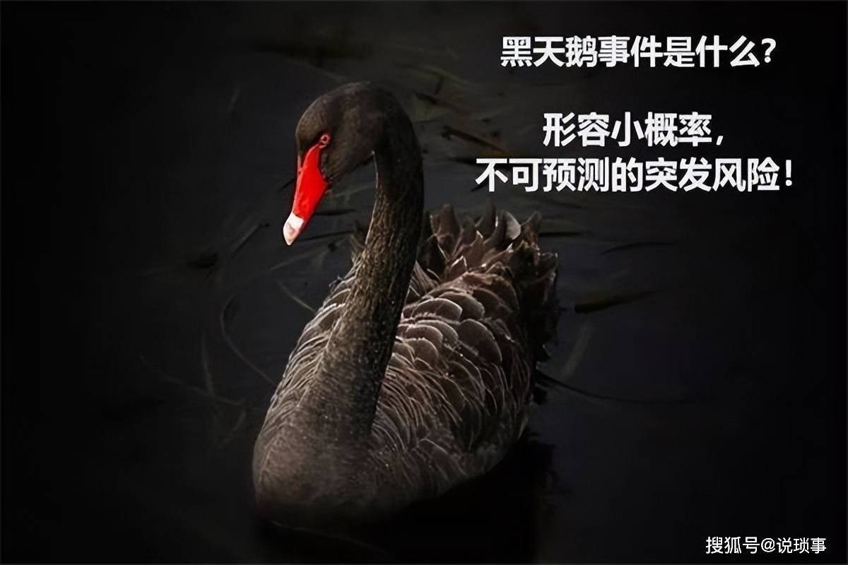 俄乌战争最可怕的“黑天鹅”式结局，有什么可怕之处？_搜狐网