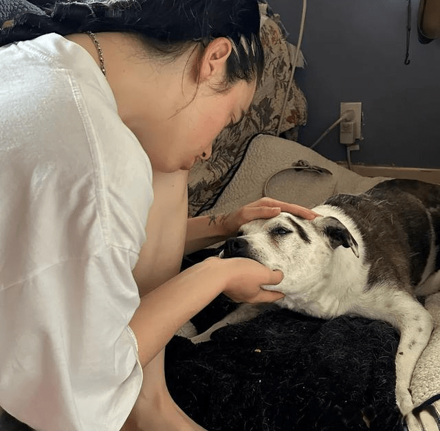 2015年,billie eilish凭借首支单曲《ocean eyes》获得了公众关注,这