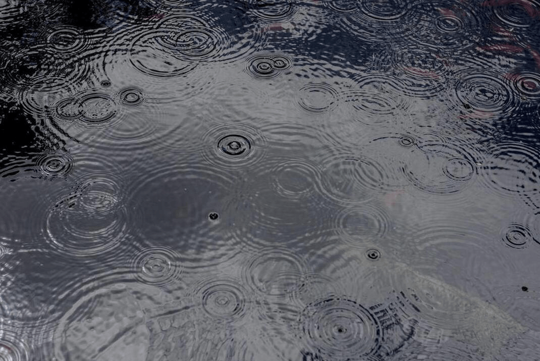 "处暑雨淋门,寡妇早嫁人",明日处暑,下雨有啥预兆?