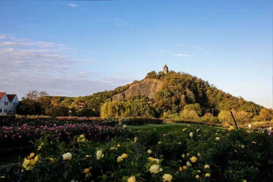 佘山溦沨房产指南-上海松江佘山溦沨房产问答-楼盘百科_精灵_公路