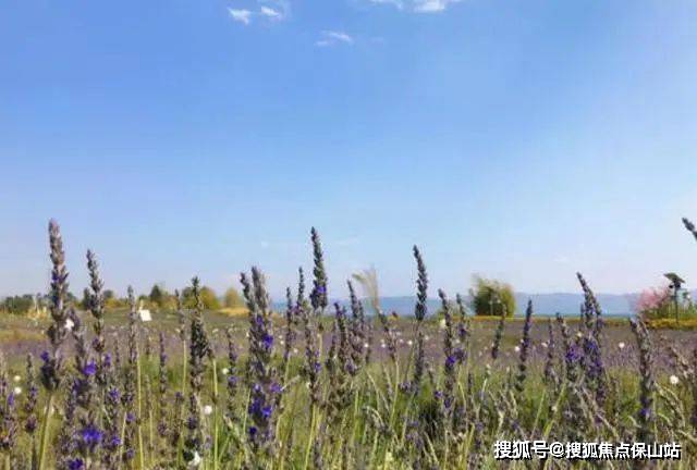 云南抚仙湖广龙小镇楼盘详情-房价-户型-周边配套-24小时热线_旅游_度