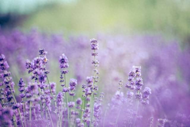 原创            唯美的爱情，伤感的思念，无缘夫妻，也会一生想念