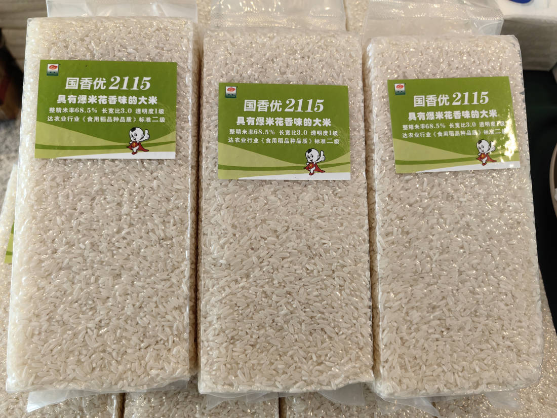 "绵阳造"国香优2115,优秀!_水稻_生产_种业