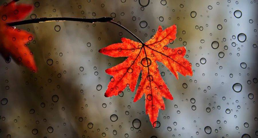 厨房空调真是下一轮家电财富吗?-家电圈官网