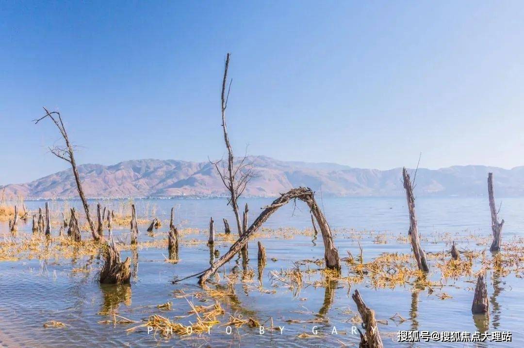 随着城市的快速发展和洱海综合保护治理,洱海沿岸资源越来越少,而拥水