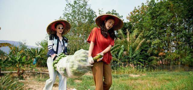 周迅出出车笑翻全场,陶虹赞子枫美化生活,郭麒麟称不能要闺女?