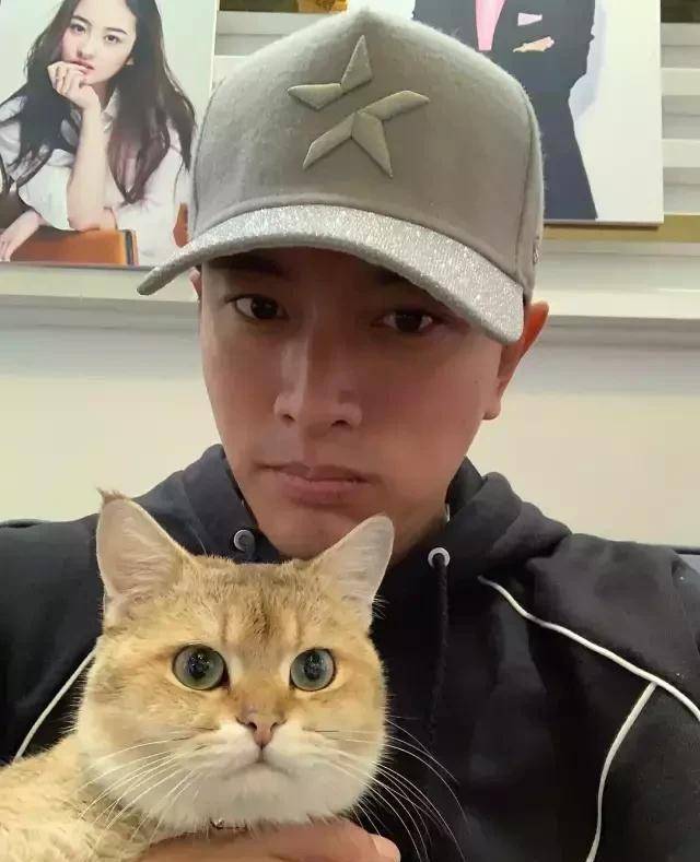 金晨_贾乃亮_邓伦