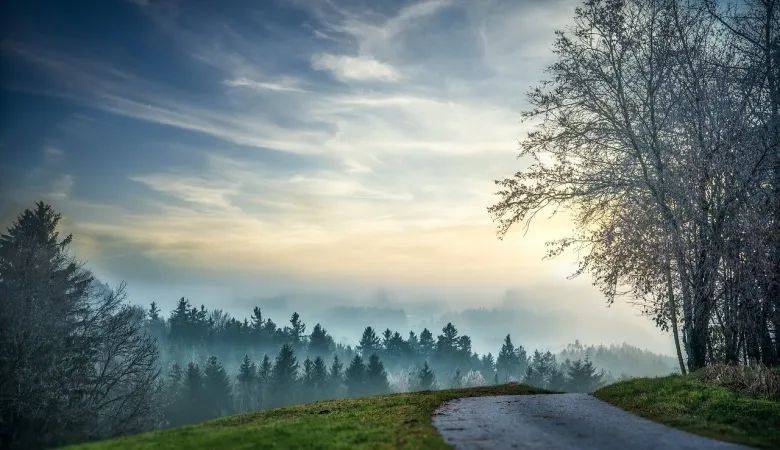 集成灶品类的天花板与主要企业的生存困惑-家电圈官网