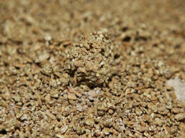 玺悦东方|一篇文章读懂白酒各种酒曲的区别_酿酒_微生物_原料