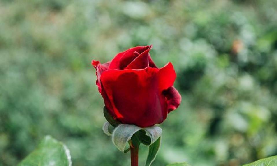 简短又优美的句子，每句话都有内涵，很适合发朋友圈