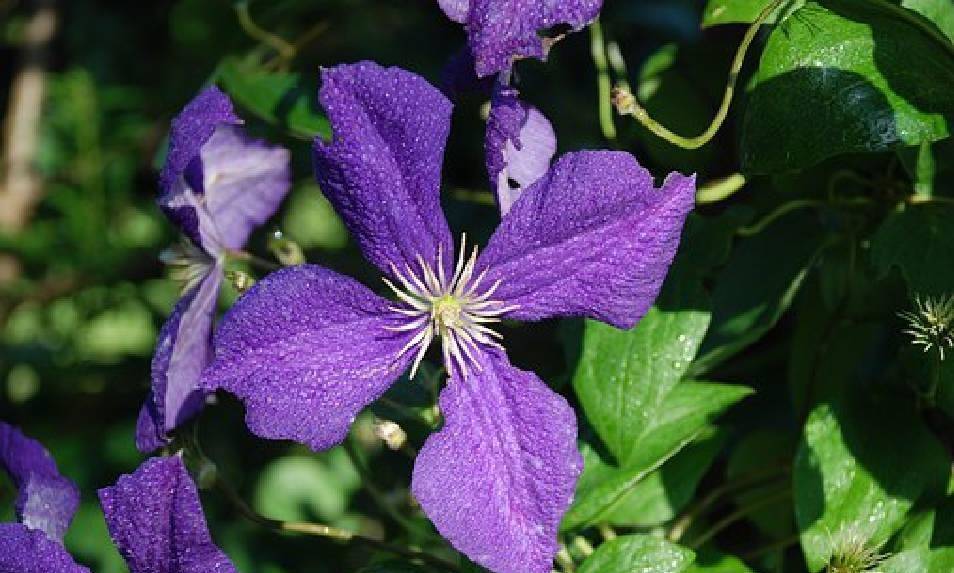 简短又优美的句子，每句话都有内涵，很适合发朋友圈