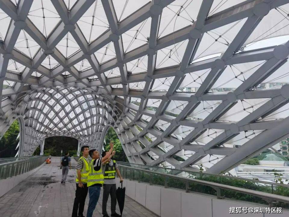 沙湾路易涝点,莲塘口岸人行天桥,银湖路边坡情况