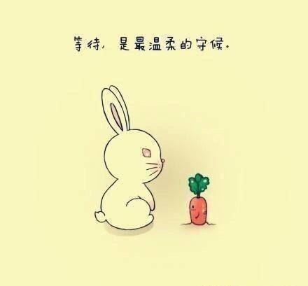 特别有哲理的一段话，搞笑又经典（值得收藏）
