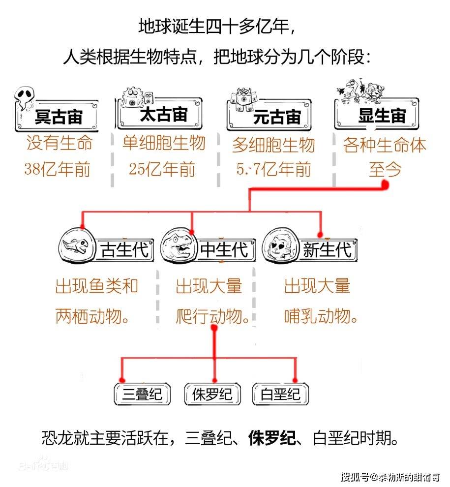 大熊猫的进化过程图片