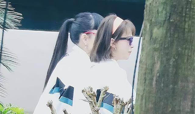 路透照信息量大,宁静那英各自带领三队,5人进入王炸组_吴莫愁_谭维维