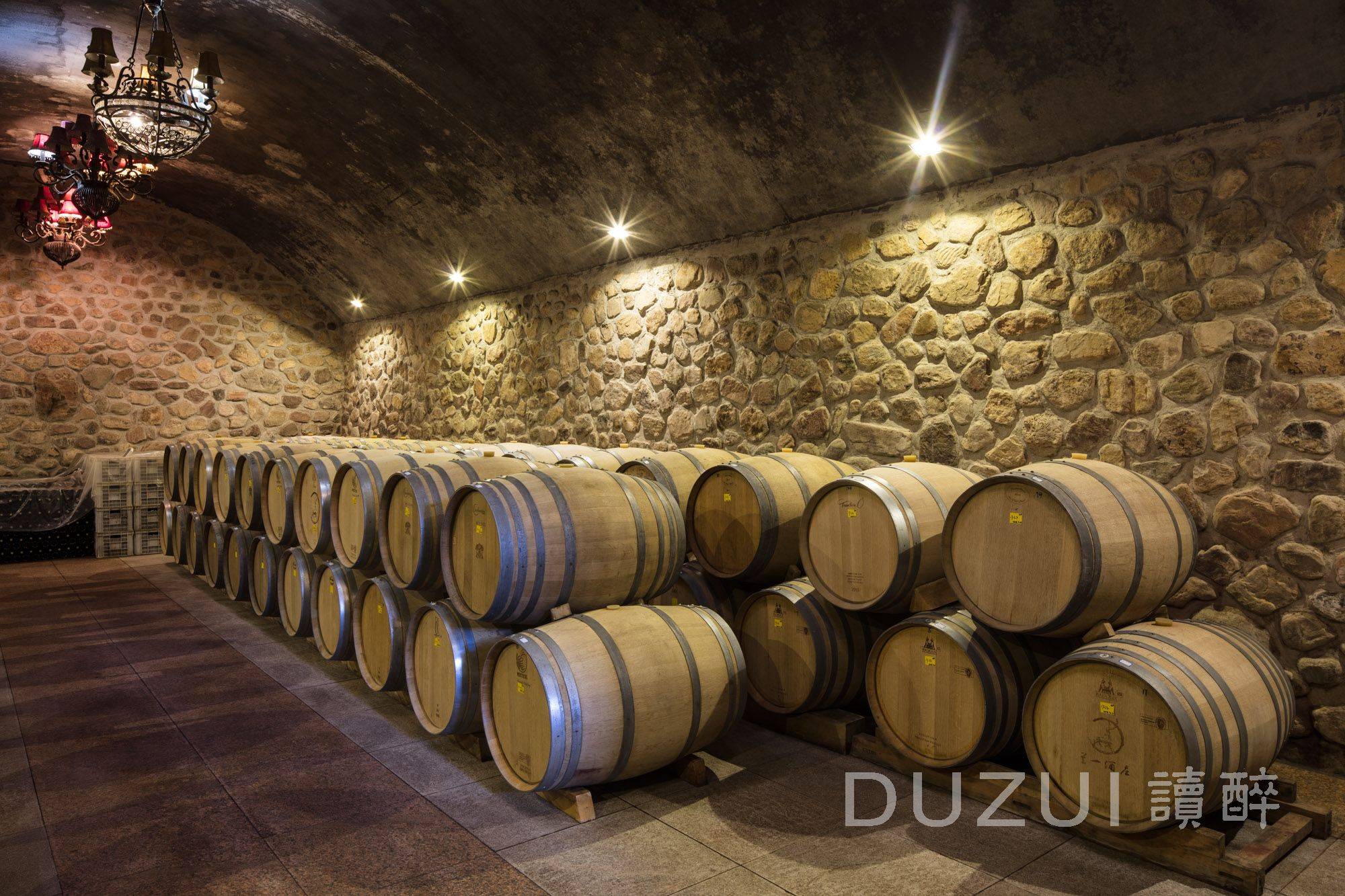 每日一酒庄 | 兰一酒庄_贺兰山_葡萄园_银川