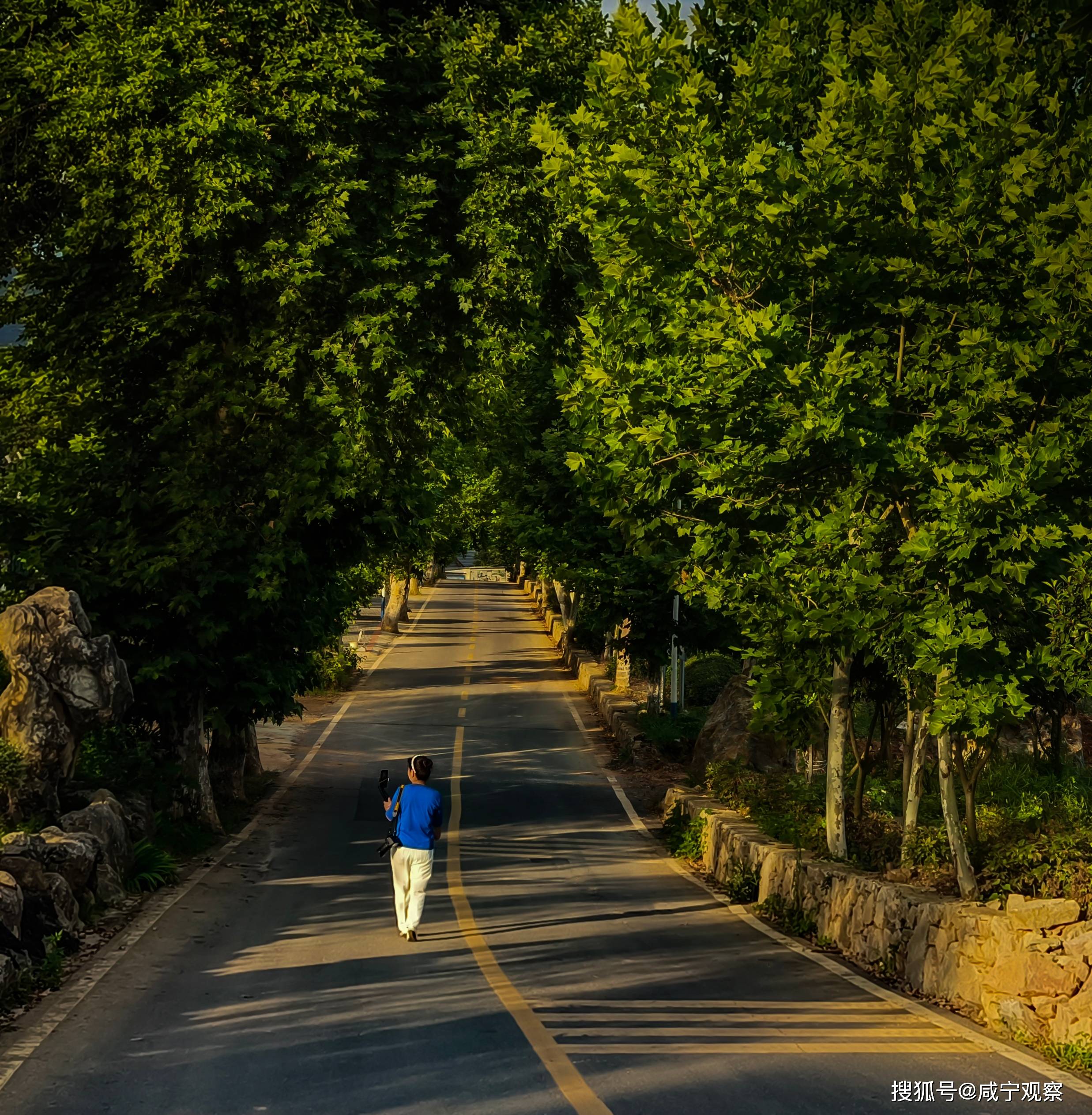 崇阳白霓镇:绘就绿美"新画卷"_旅游_产业_大道