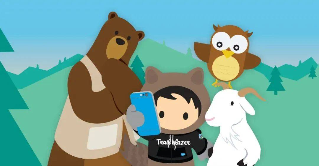 Salesforce从业者：从这5个方面提升竞争力！