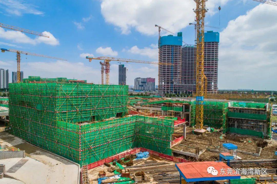 滨海湾外国语学校最新建设情况来了!_结构_教学区_主体