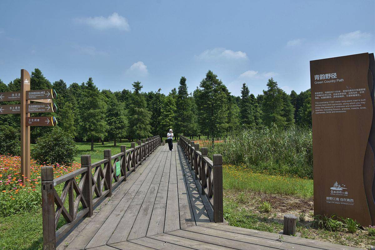 上海合庆郊野公园:回归自然,享受绿色生活_花卉_蔬菜_游客