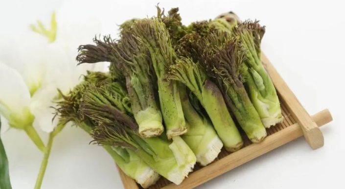江苏惠明农产品:农村最好吃的十大野菜_香椿_经典_味道