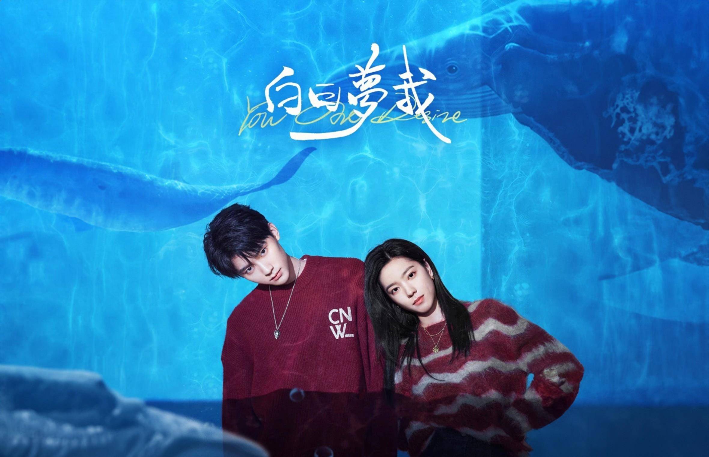 现播放卫视为湖南卫视,该剧是由邓珂执导,庄达菲,周翊然领衔主演,陈鹤