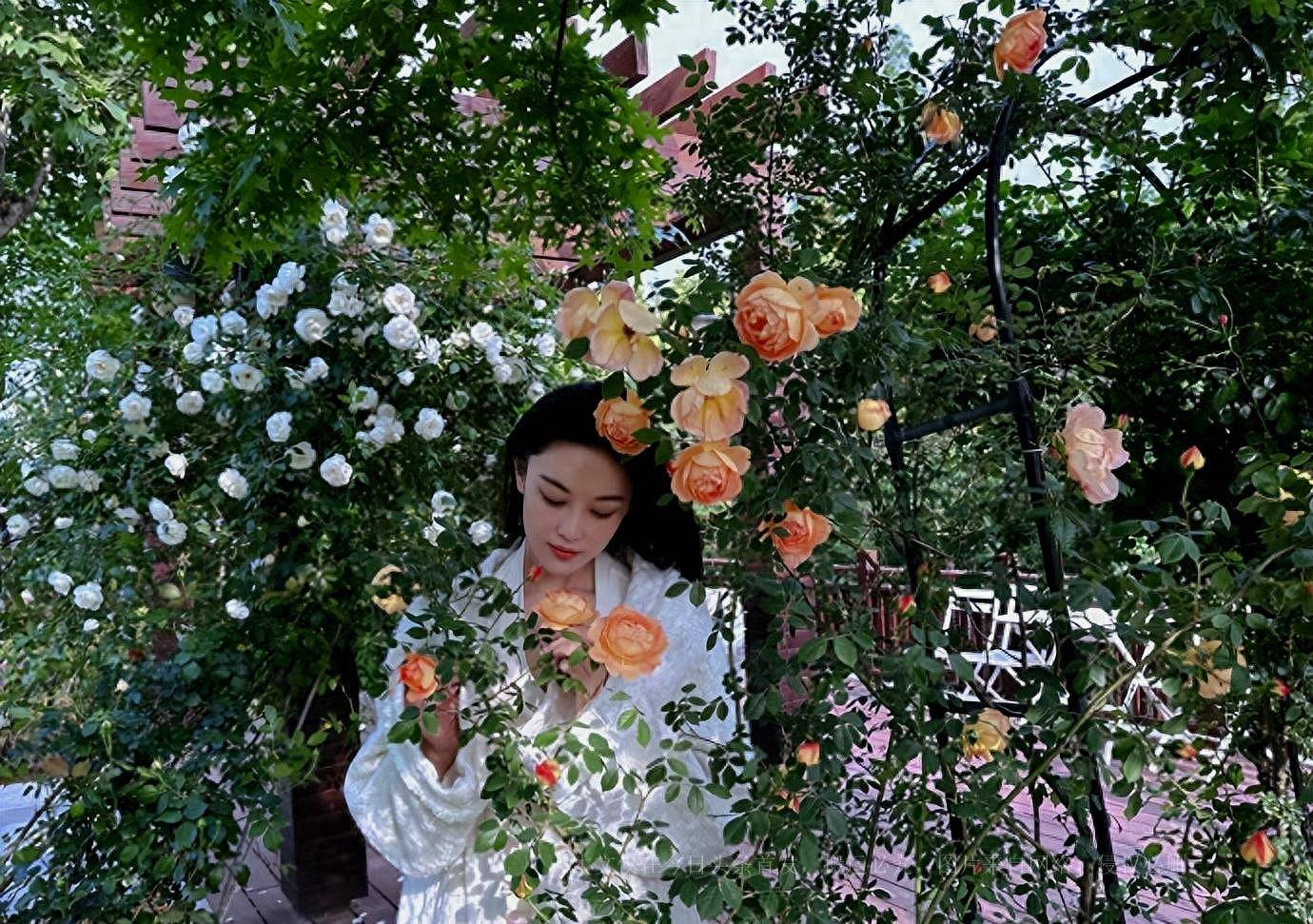 张馨予在自家花园拍照,老公视角下穿睡袍出镜,完美演绎人比花娇_家庭