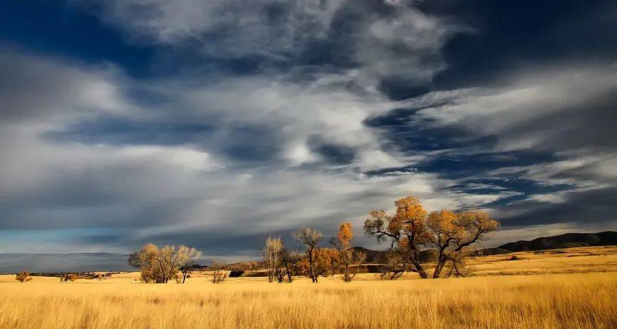 最近一线家电市场出现不少怪现象-家电圈官网