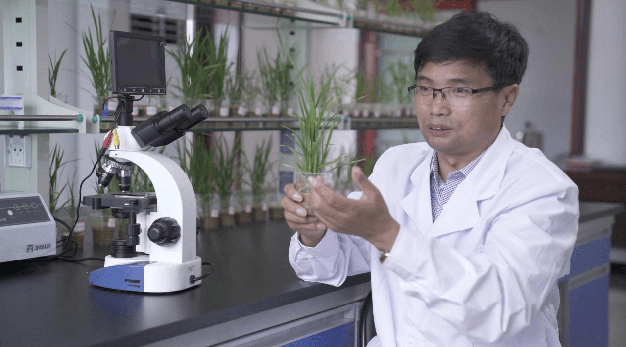 鉴于 彭国威教授在药食同源领域的丰富经验和社会影响