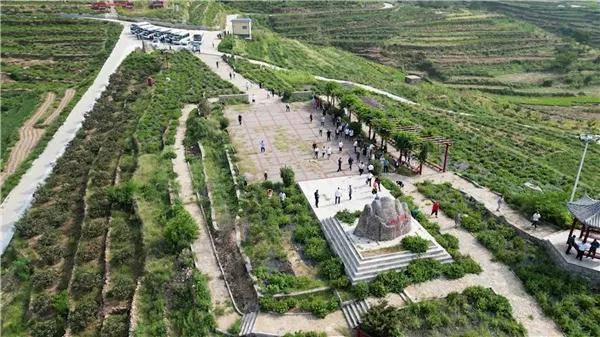 淮安鼎裕农业科技开发有限公司与山东鑫敏有限公司强强联手_金银花