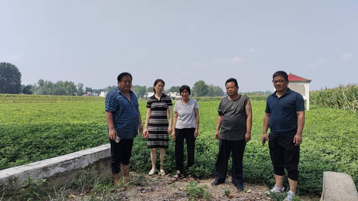 邓州市十林镇:人大代表扎实开展产业奖补项目验收视察工作_建设_乡村