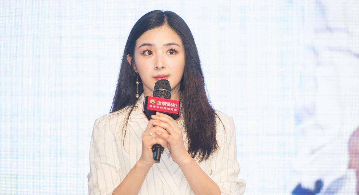 张含韵少年成名,被诽谤被污蔑,终于带着自己作品涅盘重生_刘德华_观众