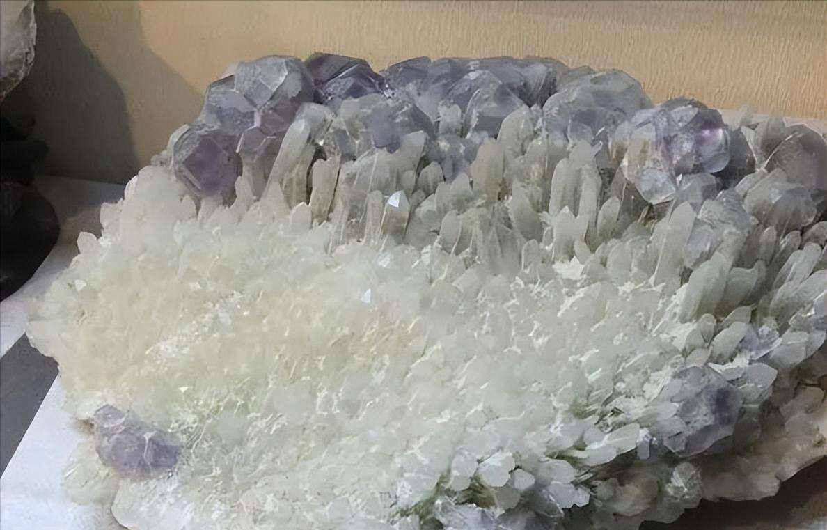 福建深山发现"蛇眼石",散发奇香冒绿光,深夜引来大量毒蛇聚集_石头