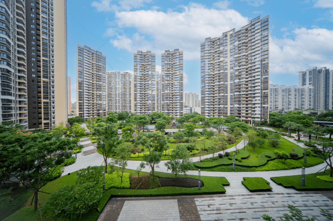 高端居住区正芯,壹号作品来了_彩虹_片区_棕榈