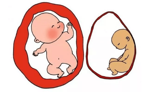 子宫内膜薄多次不着床怎么办?_厚度_胚胎_宫腔