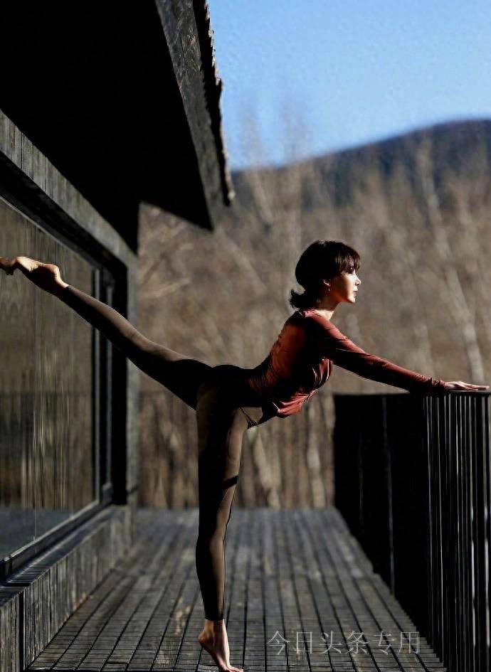 陈数的瑜伽照真是成熟女性的屋顶_生活_内容_相关