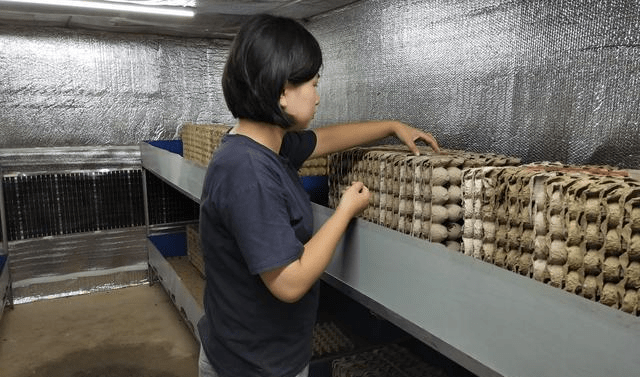 卖两百多万只蝎子替父还清百万债务_方程_父母_养殖
