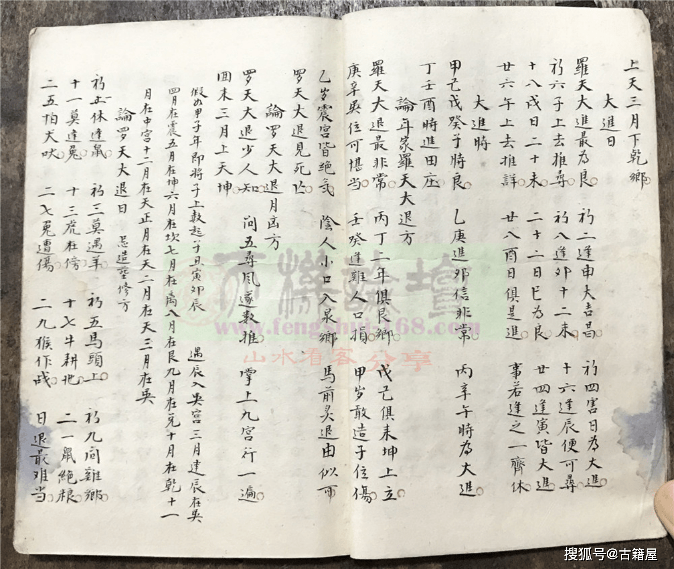 杨救贫原著真秘本图片